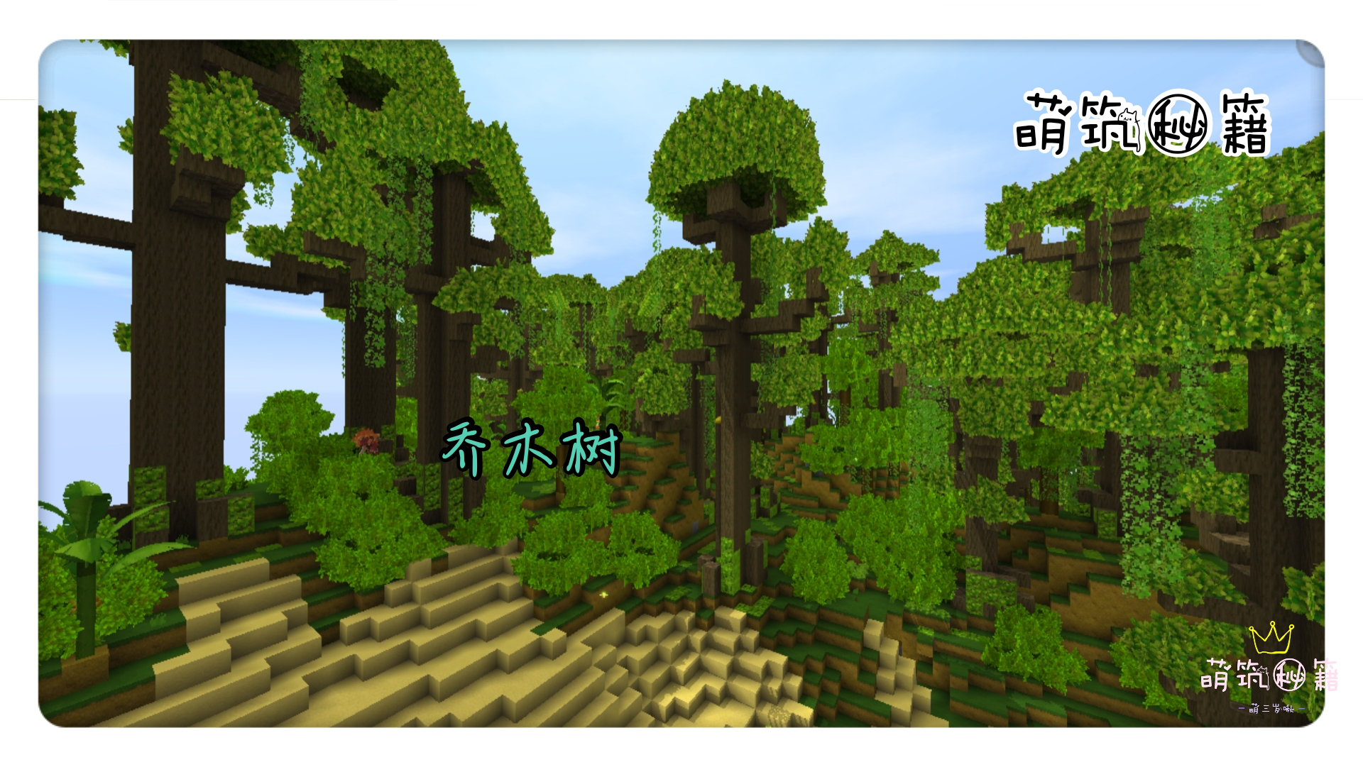 揭秘雨林:新地形雨林世界,萌宝带你来冒险_迷你世界_九游论坛