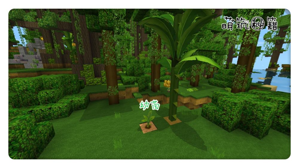 揭秘雨林:香蕉猴的特性,爱寻宝的猴子_迷你世界_九游论坛